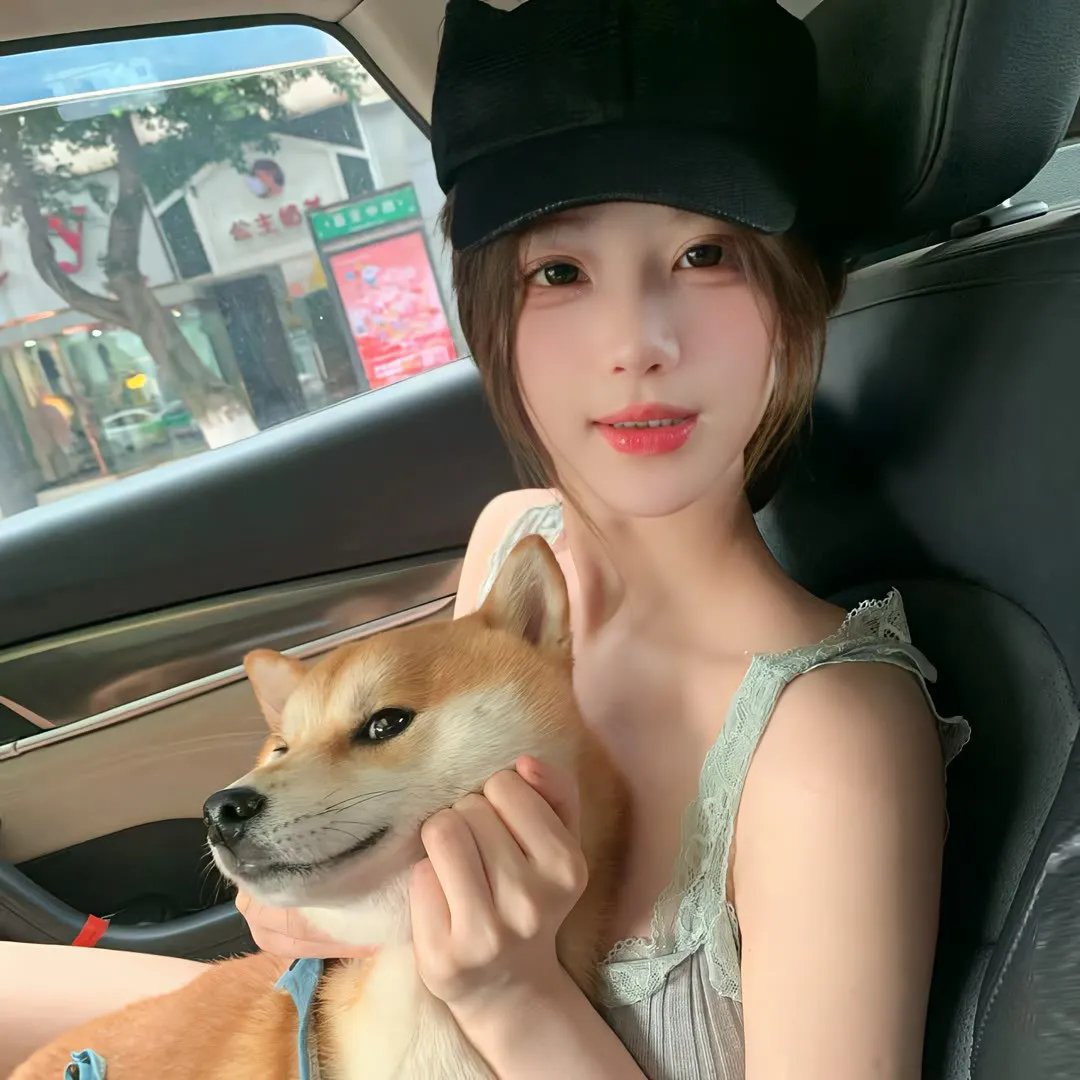 十楼的蚊