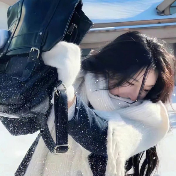 灰鸽子之歌